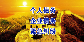 盘龙追债公司